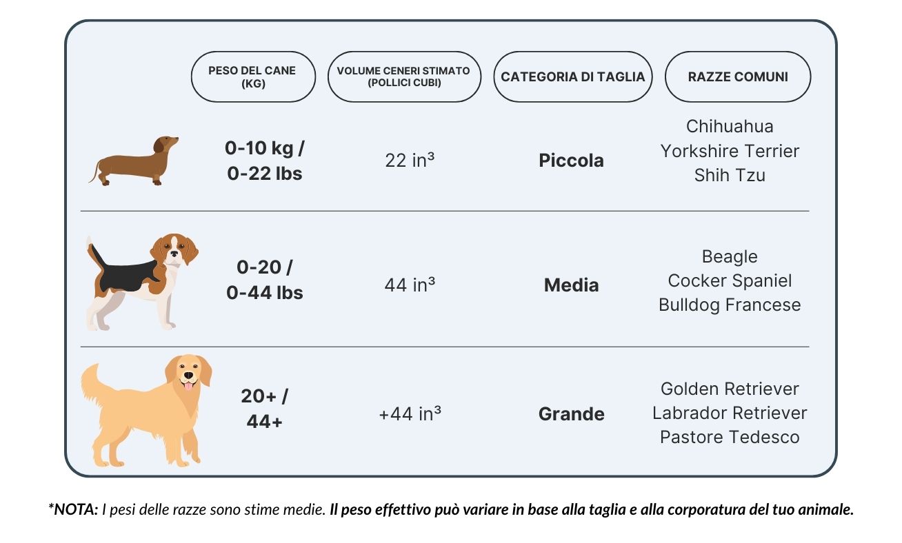 Tabella delle dimensioni delle urne per cani con categorie piccola, media e grande in base a peso, volume delle ceneri e razze comuni.